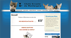 Desktop Screenshot of cemmontargis.fr